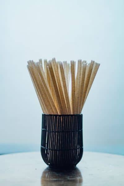 Sugarcane straws